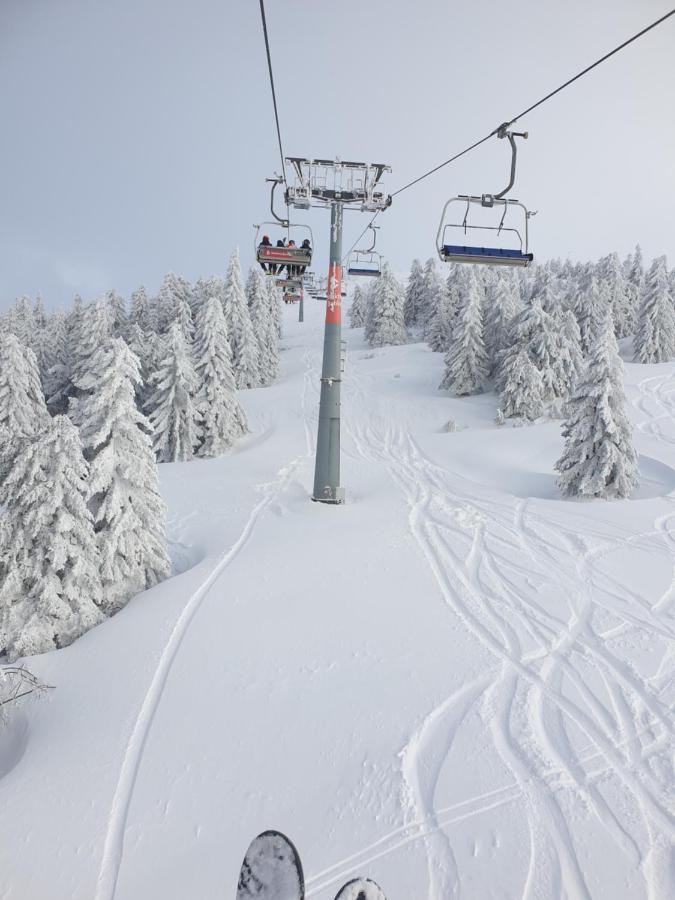 Apartman Kostic Kraljev Konak Kopaonik Exteriör bild