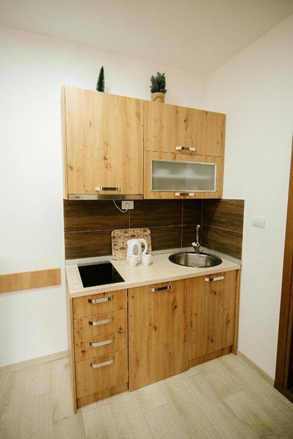 Apartman Kostic Kraljev Konak Kopaonik Exteriör bild